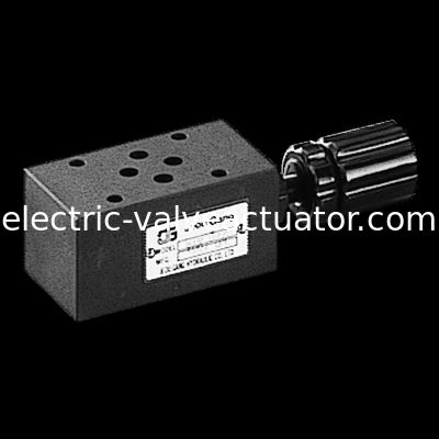 Goede prijs. MTV.Modular toegevoegde het gaspedaalklep MTV-02-p van Jeou van Gaspedaalkleppen Troep online