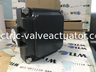 Goede prijs. TVH-E20GNPM TOPWORX Emerson Valve Monitor in hardcoat geanodiseerd aluminium of 316 roestvrij staal online