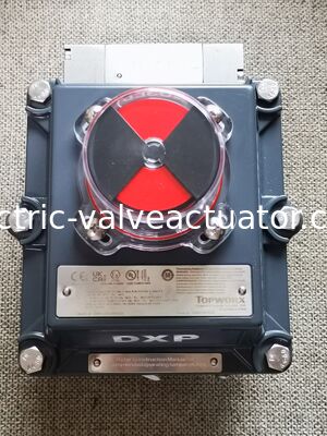 Goede prijs. TOPWORX DXP-L21GN4S162 Valve limiet schakelaar online